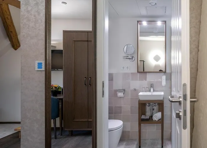 Altstadthotel Der Patrizier Hotel Řezno