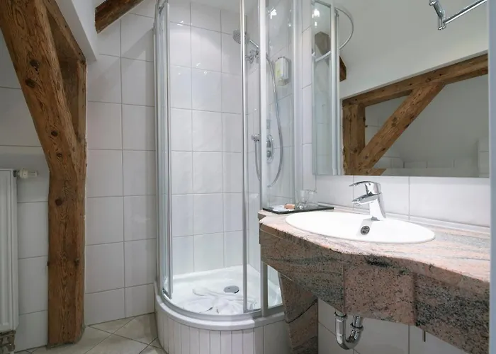 Altstadthotel Der Patrizier Hotel Řezno